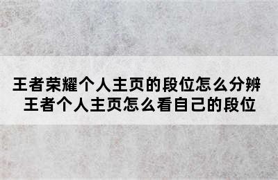 王者荣耀个人主页的段位怎么分辨 王者个人主页怎么看自己的段位